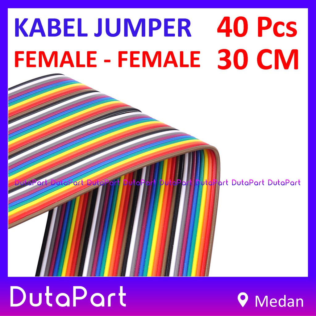 40Pcs Kabel Jumper 30cm FEMALE to FEMALE Dupont Cable Wire Pelangi