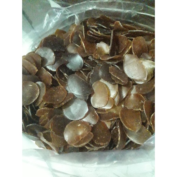 

KRUPUK PULI TERASI