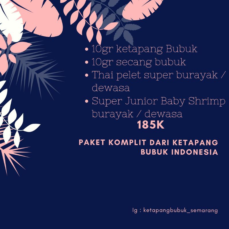 

Paket komplit ketapang bubuk Indonesia