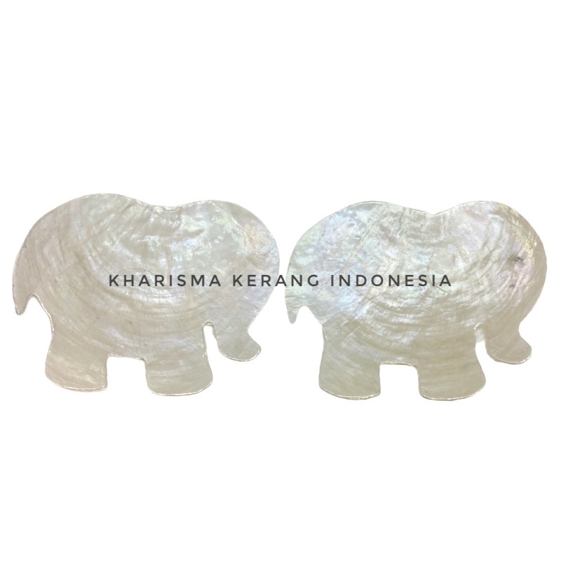 CAPIZ SHELL ELEPHANT SHAPE KERANG SIMPING KULIT KERANG CAPIZ CAPIZ SHELLS KULIT KERANG CAPIZ SIMPING