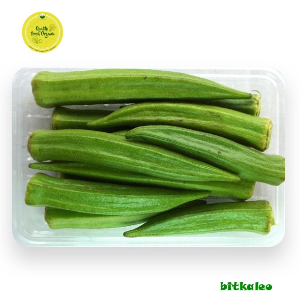 

Okra Organik 200 gr (PO)