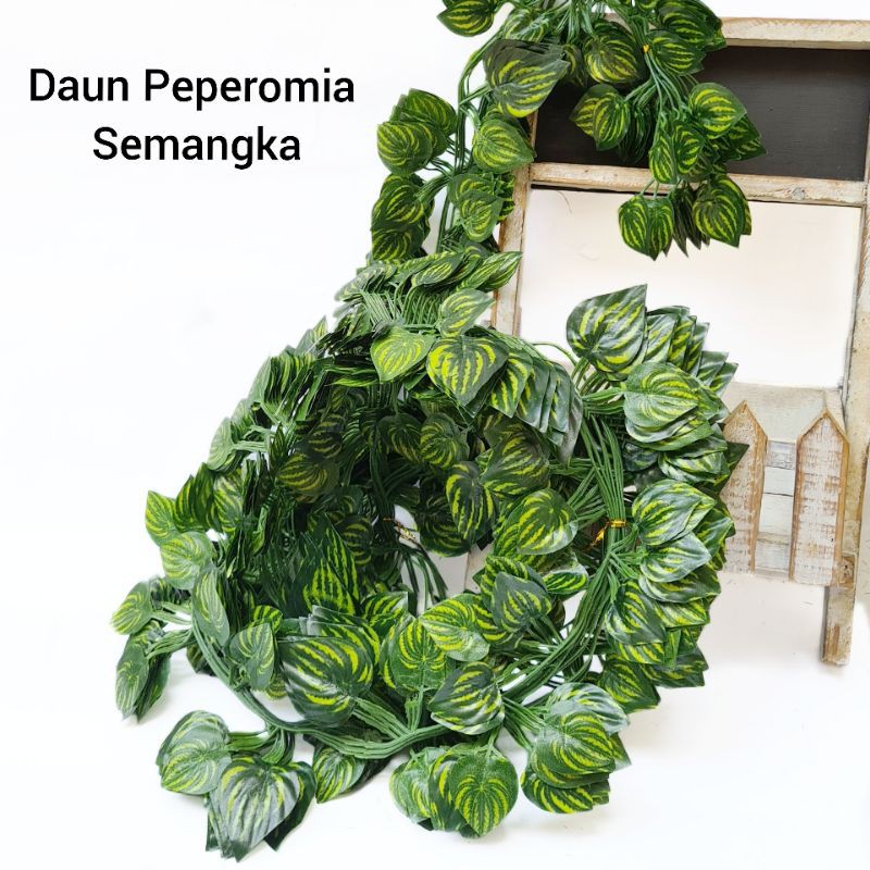 AL92 (12PCS) Daun Rambat 2m Lotus Peperomia Semangka Anggur Sri Gading Plastik Hiasan Backdrop