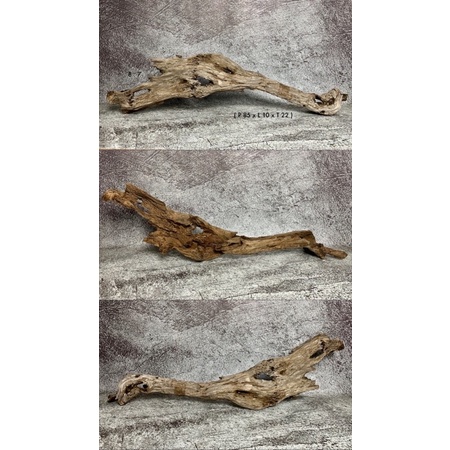 Kayu Santigi Aquascape