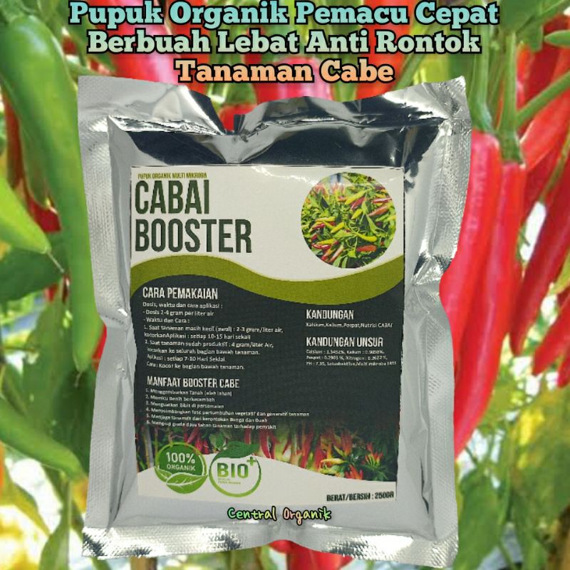 Pupuk Booster Cabe Cepat Berbuah Lebat Pupuk Pelebat Cabe Rawit Pupuk Pelebat Cabe Merah Pupuk Cabe 