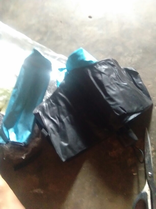 Shenarserbaunik Payung Magic 3d / Payung Bermotif Saat Hujan