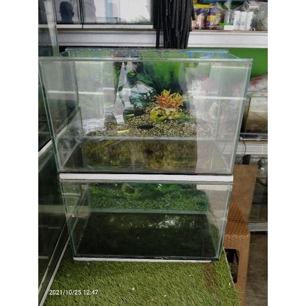 aquarium kaca 40x20x25 PLT