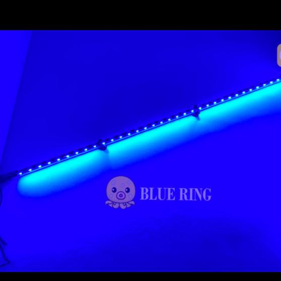 ~~~~~] Lampu Aquarium Cosmo CS-L1000 Biru LED 100cm Lighting Underwater