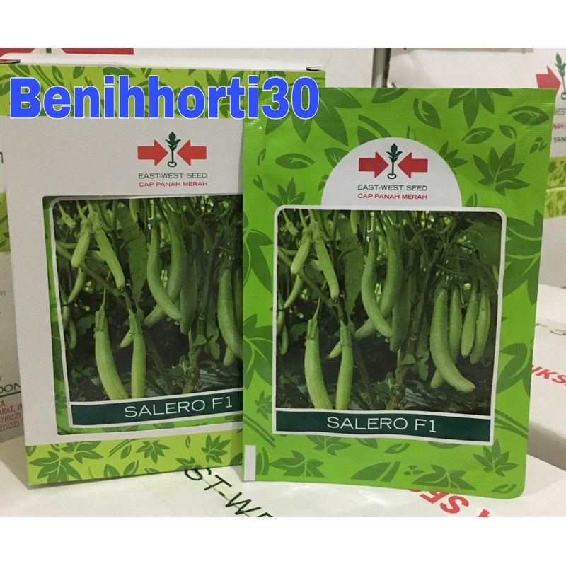Benih Terong Hijau Salero F1 isi 5 gram