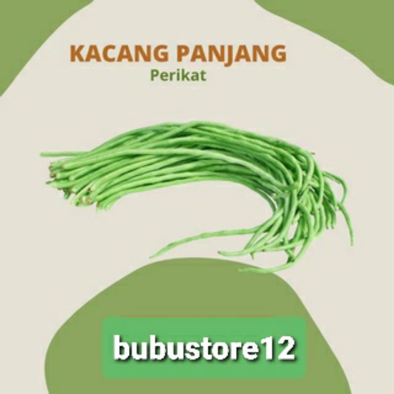 

KACANG PANJANG PERIKAT