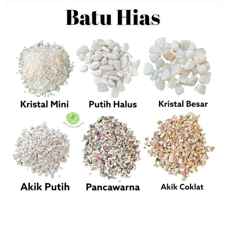 Batu Hias Kaktus Sukulen 250 Gram