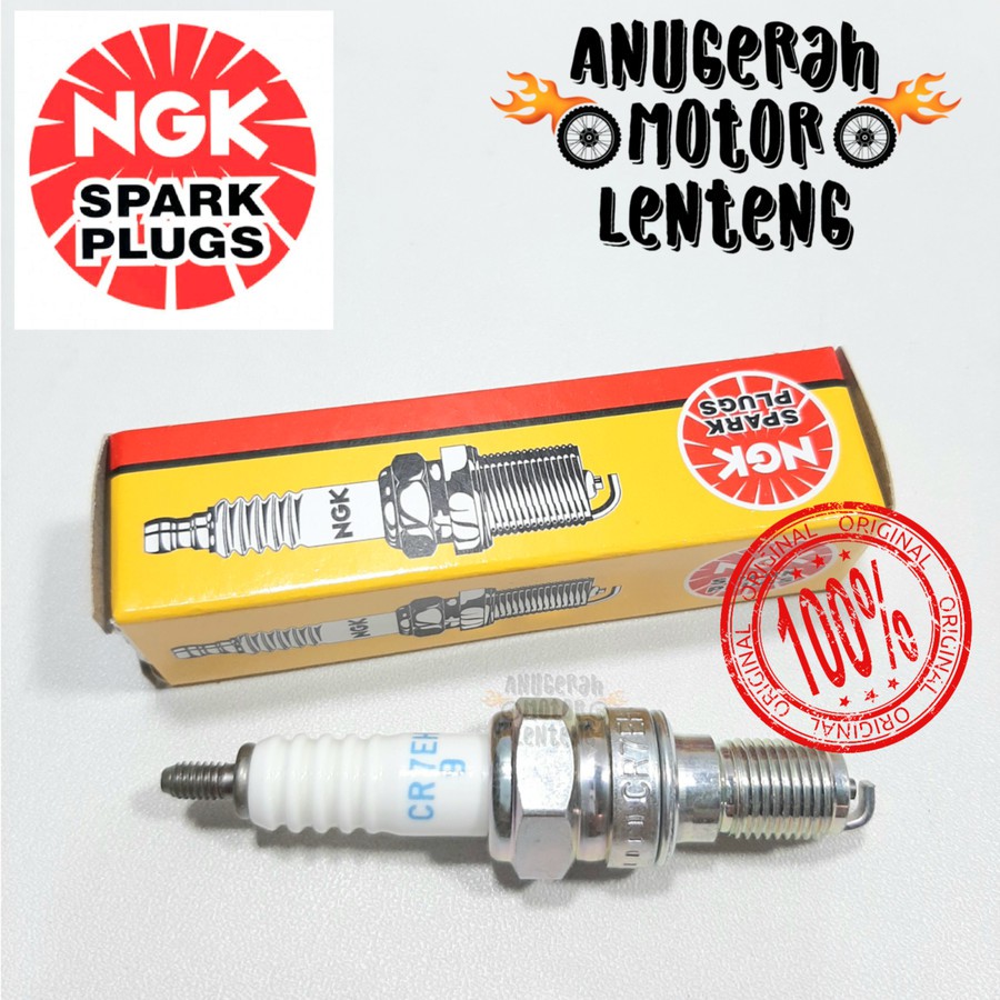 Busi NGK Spark Plugs CR7EH-9