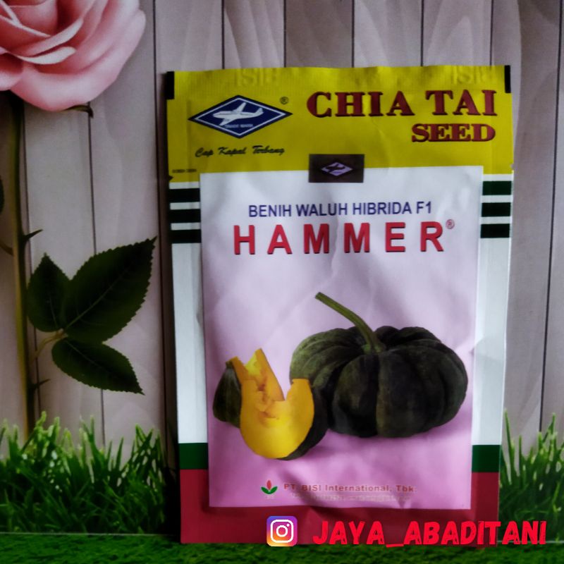 BenihWaluh Hibrida F1 Hammer Chia Tai Seed