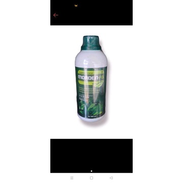 MORDEN FOLL 500ML