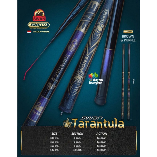 JORAN TEGEK/POLE TARANTULA 300
