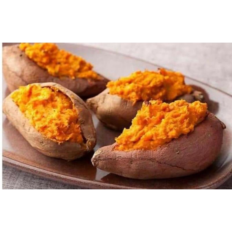 

ubi cilembu asli