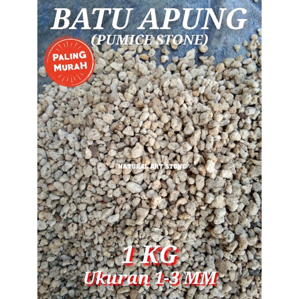 BATU APUNG / PUMICE STONE KECIL UKURAN 1-3 MM, MEDIA TANAMAN, TANAMAN KARNIVORA, AQUASCAPE, AKUARIUM