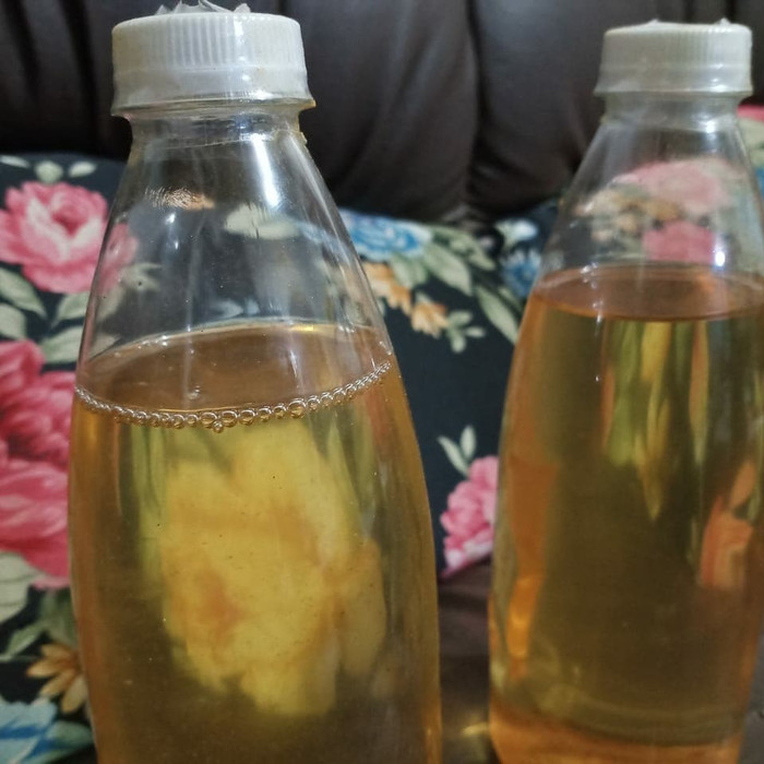 

Minyak Kunyit 1Liter + VCO / Organik / Superfood / Multivitamin