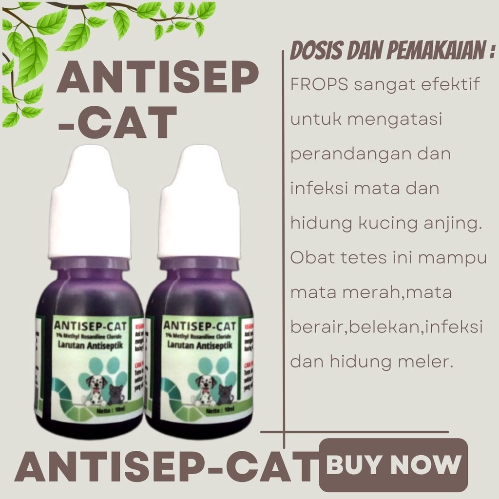 Natural Obat Penghilang Bau Mulut Sariawan Kucing Antisepticat FEZONE