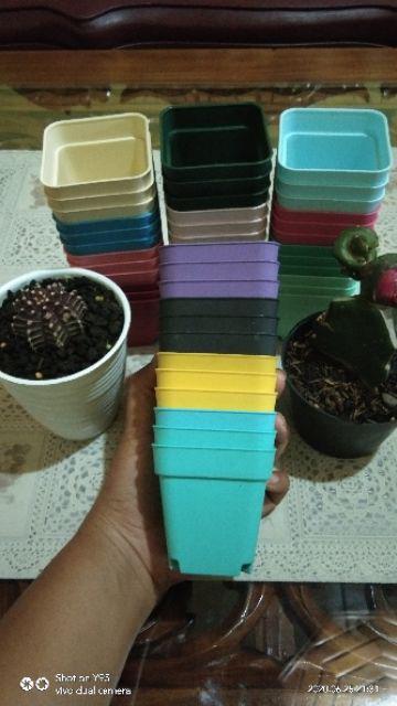 Label Tanaman Plant Tag Model T Untuk Ditancap Pada Semaian Atau Pot