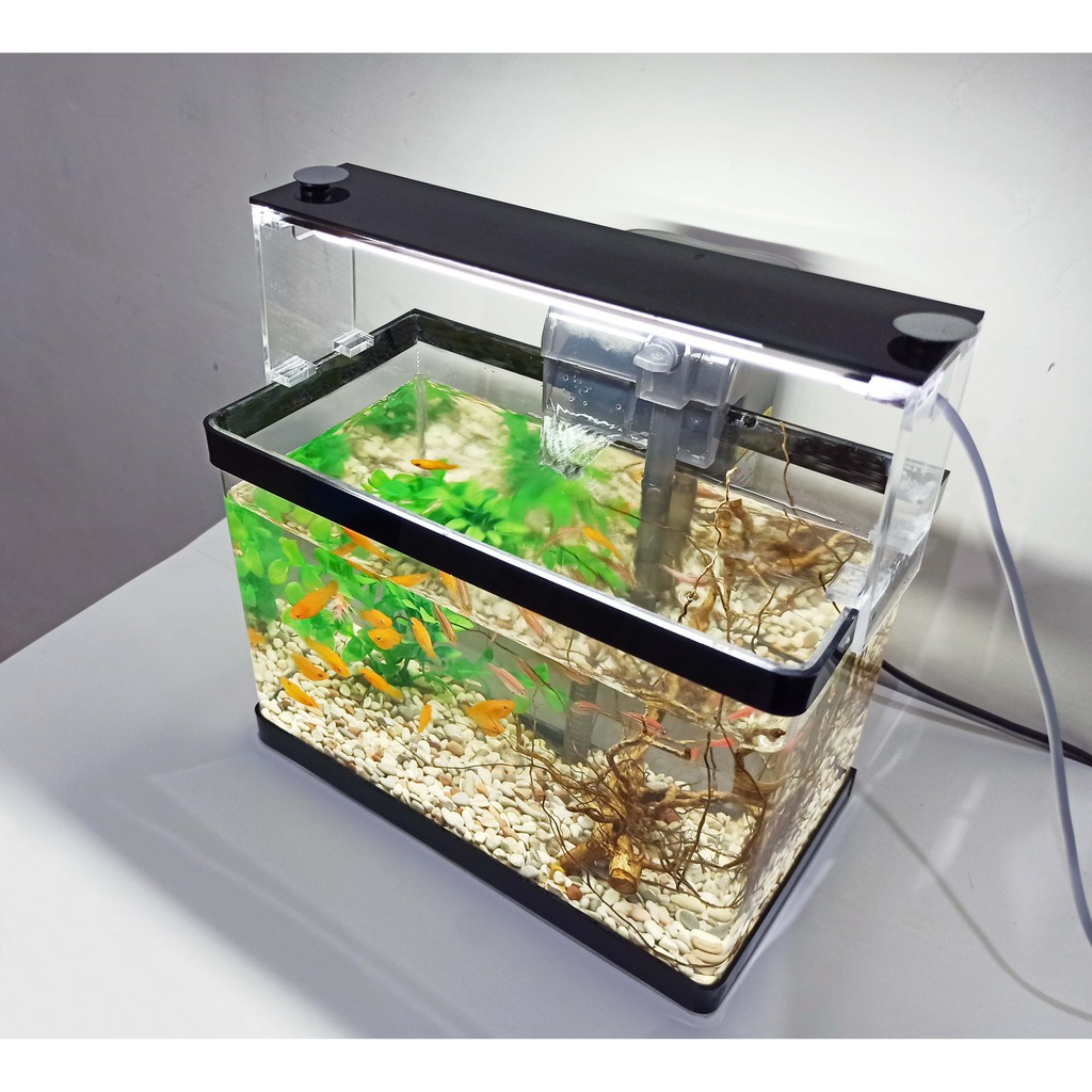 Макет аквариума. Аквариум 3d модель. Аквариум 1 8. Tetra betta ring. 8.
