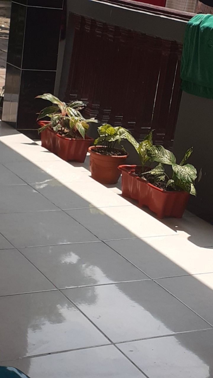 Pot Bunga Panjang Sgp05 Putih