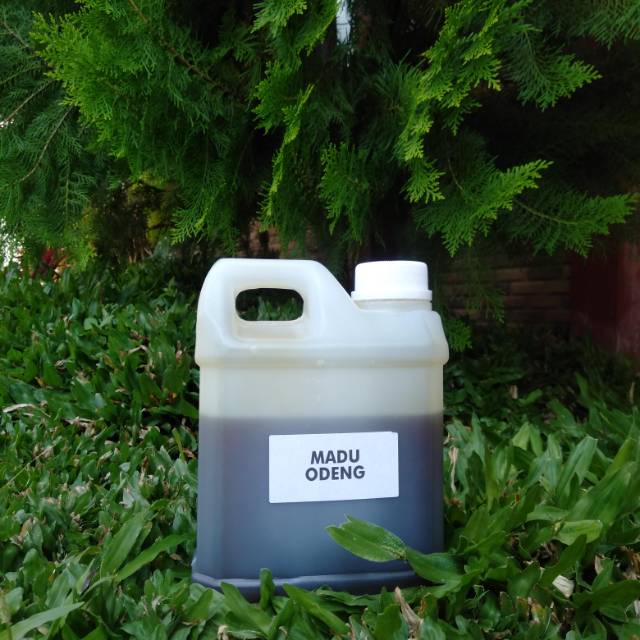 

Madu Odeng Asli 1 Kg 100% Hutan Garut Selatan