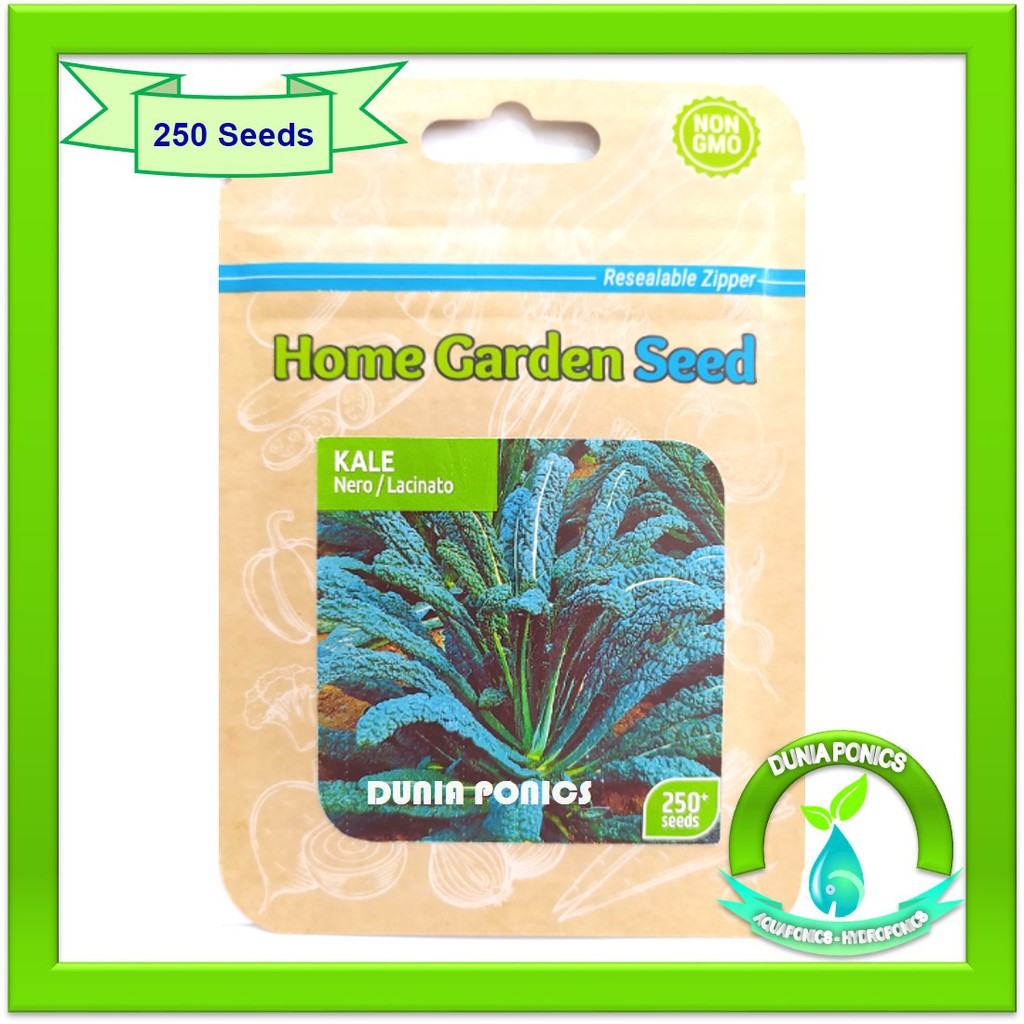 Benih Bibit KALE NERO / LACINATO 250 Butir Seeds Home Garden Seed - Import