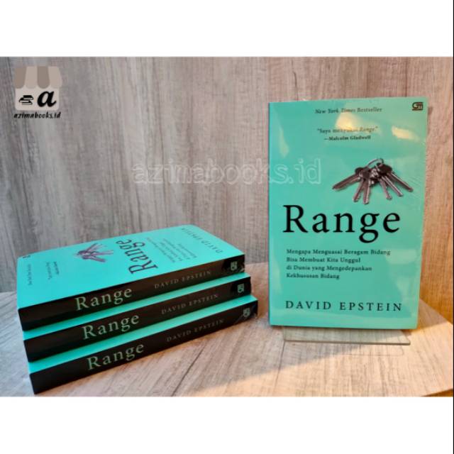 BUKU RANGE PENULIS DAVID EPSTEIN