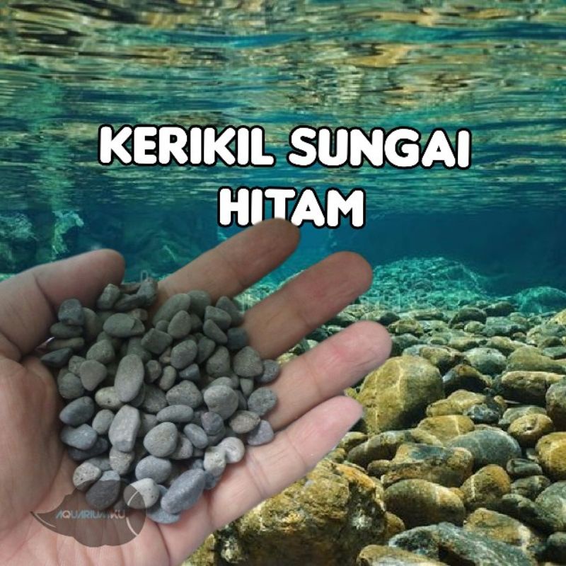 batu kerikil / koral / gravel sungai untuk akuarium