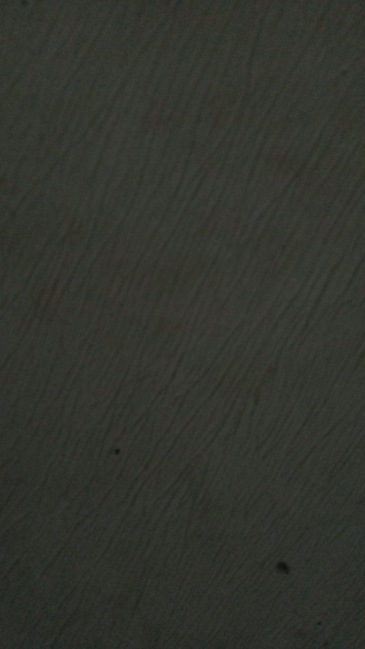 Camel Pvc Kran Cabang Keran Shower Cabang 2 Kran Tembok Kamar Mandi Mgj