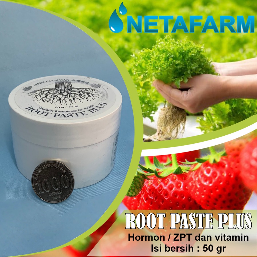 Root Paste Plus ( Taiwan ) 50 gram Pupuk Hormon Pertumbuhan Akar