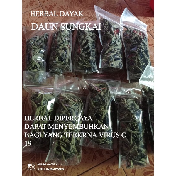 

HERBAL DAYAK