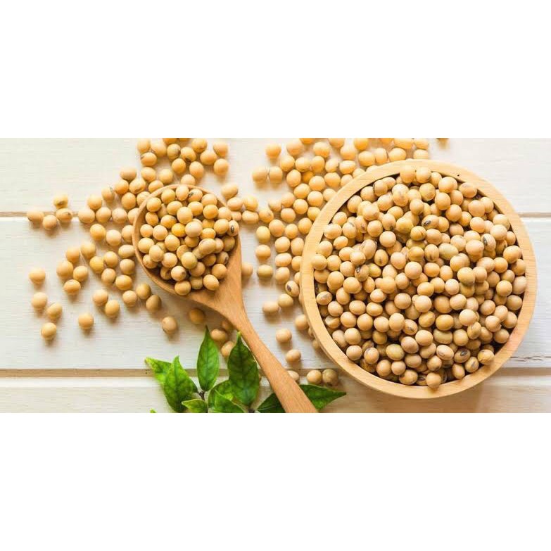 

Kedelai Organik 250g