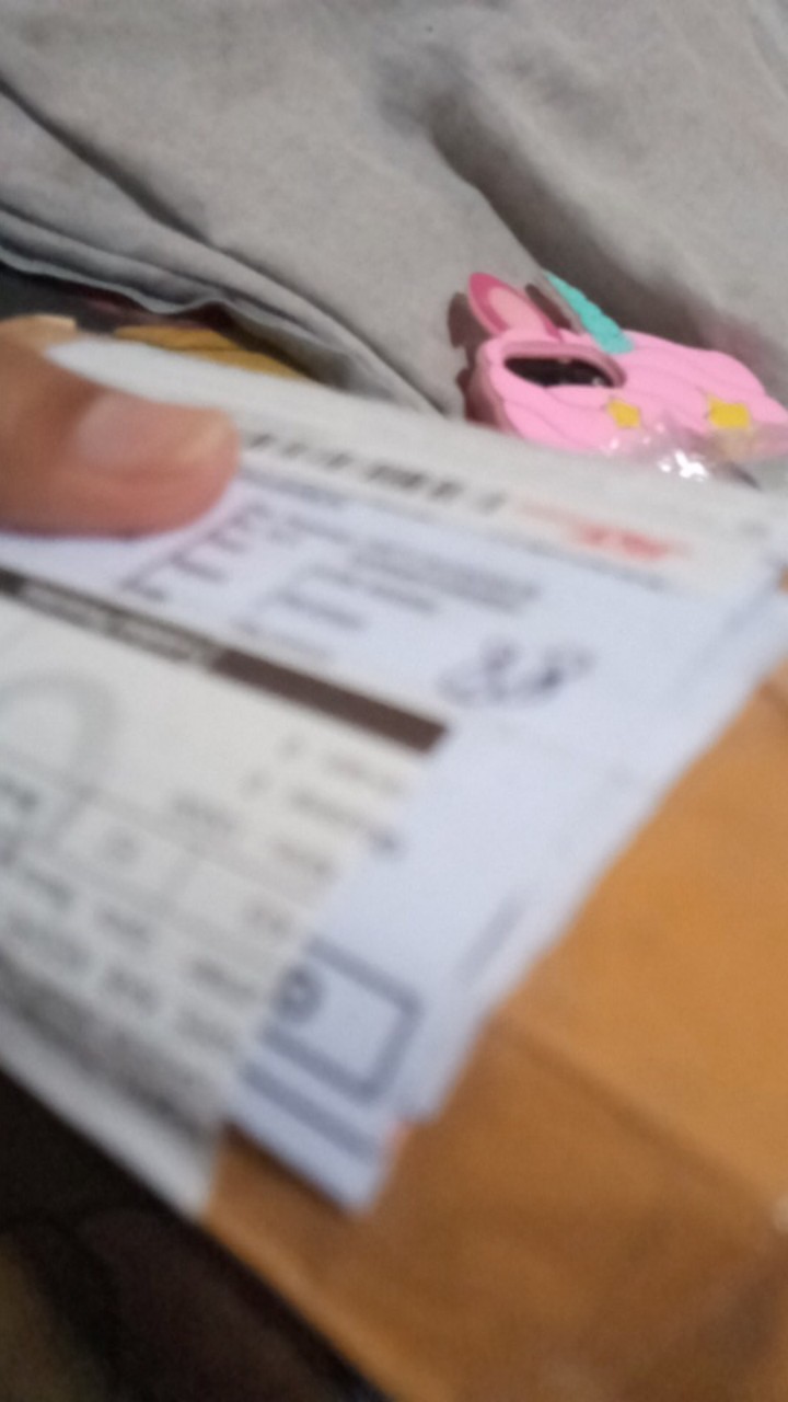 Melon Honeydew Orange 10 Benih