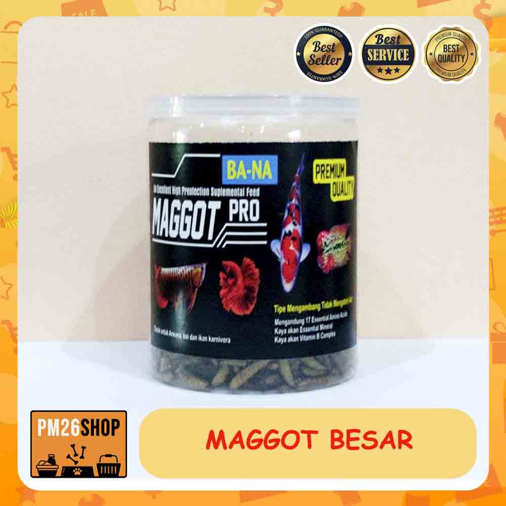 PAKAN IKAN HIAS MAGGOT PRO BOTOL BESAR