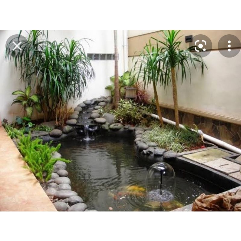 pembuatan+kolam+ikan+koi+batu
