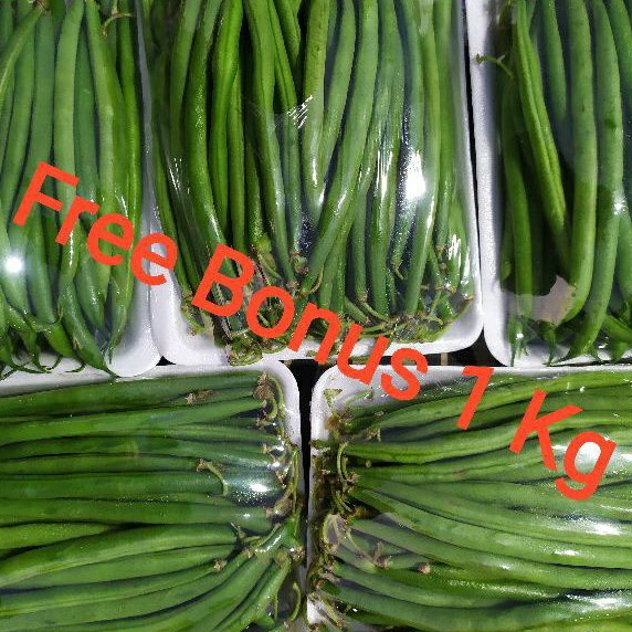 

Buncis Kenya | Buncis Baby Kenya 250 gr/Pck + Gratis Bonus