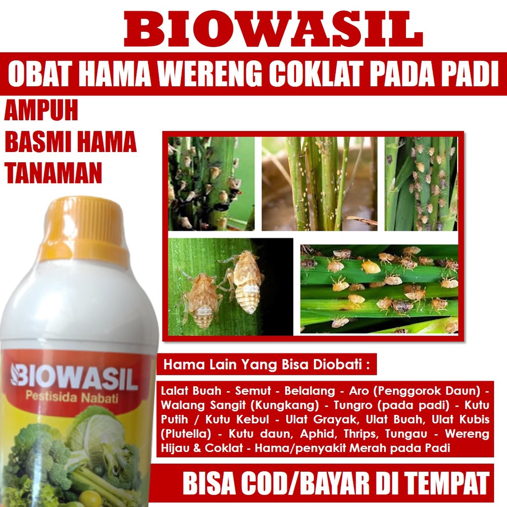[PUPUK MURAH] BIOWASIL 500 ML Obat Semprot Hama Wereng Coklat Padi Sawah - Pupuk Pestisida Semprot B