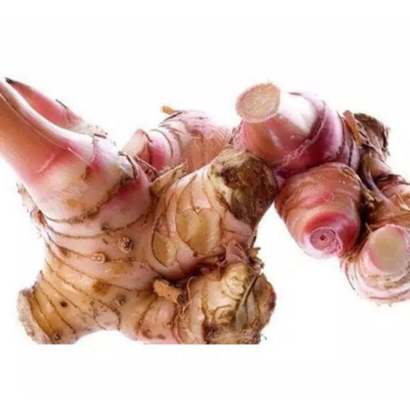 

lengkuas organik 500gram