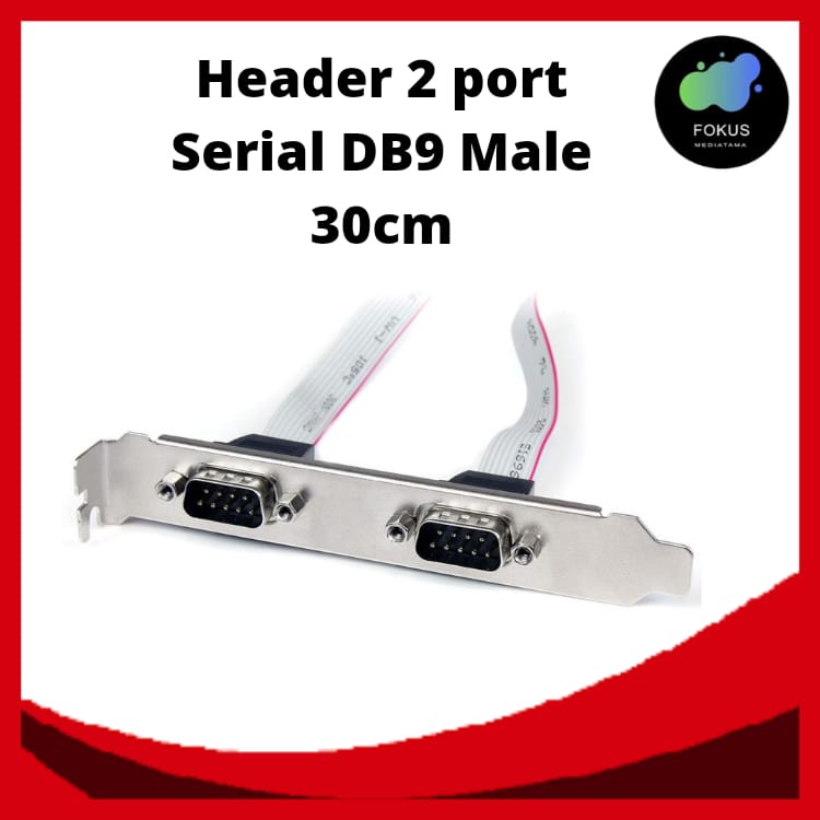 Header 2 port Serial DB9 Male 30cm / 15cm