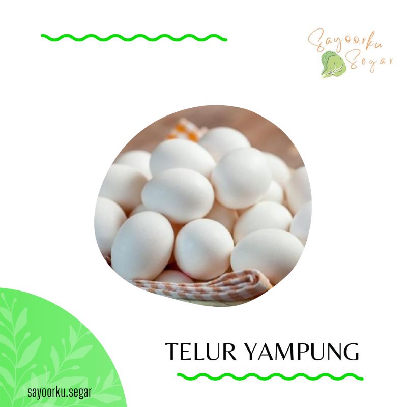 

KIRIM BESOK Telur ayam kampung asli / telur yampung 6 butir