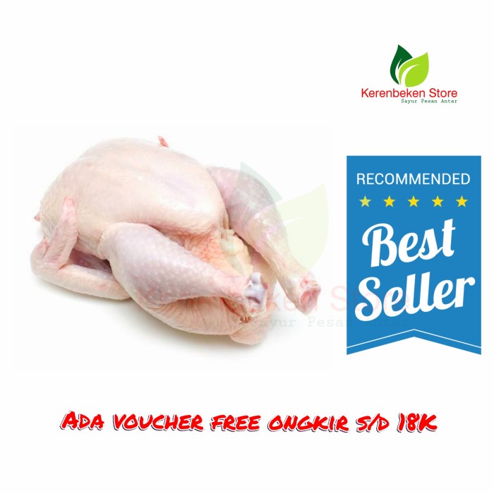 

Ayam per ekor