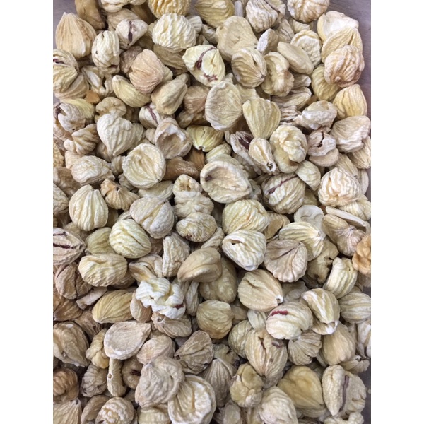 

kacang berangan/lakci
