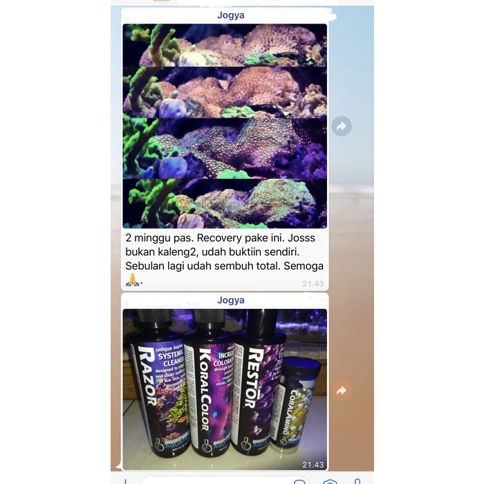 

BRIGHTWELL KORAL COLOR 250ml