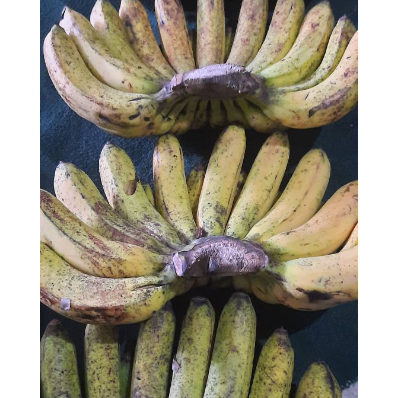 

pisang barangan 1sisir