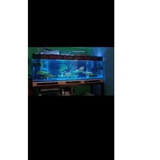 Special - BACKGROUND AQUARIUM TANK IKAN / WALLPAPER AQUARIUM GRATIS CUSTOM DESAIN ..