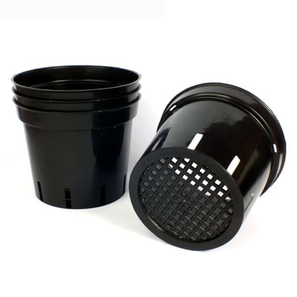 Pot Anggrek Plastik 15cm Hitam Tanaman Hias Bunga Cattleya Hidroponik