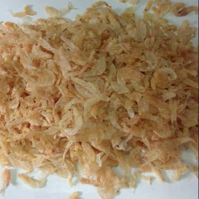 

Udang Rebon