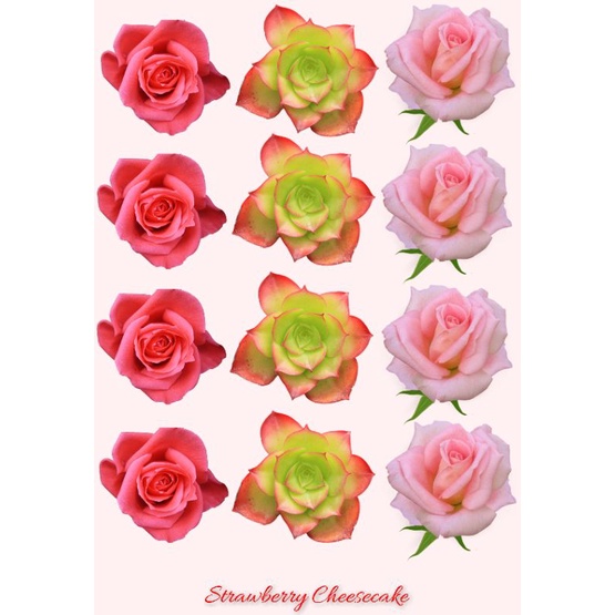 

Sticker bunga flower DIY Dekorasi Aesthetic Murah