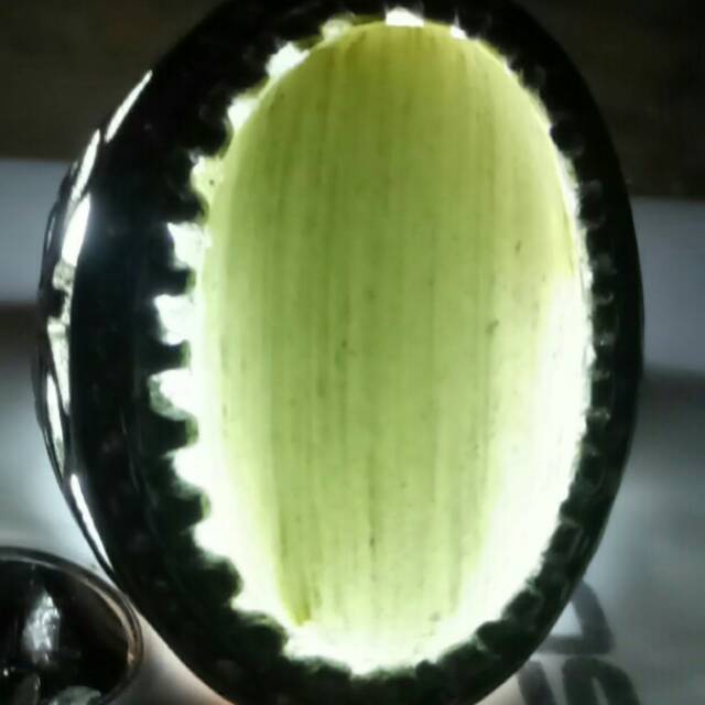 Batu langka fosil ranting kayu